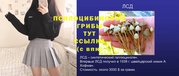 соль ск Наволоки
