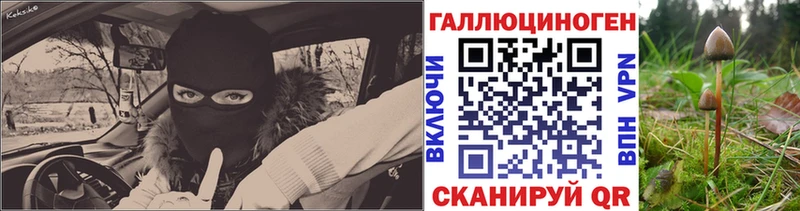 Галлюциногенные грибы Psilocybe Липецк
