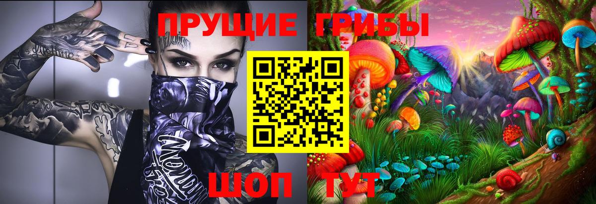 Псилоцибиновые грибы Cubensis Липецк