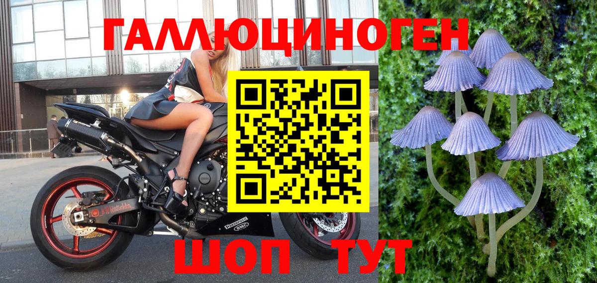 Липецк  где продают   Галлюциногенные грибы мухоморы  Вход с VPN  Псилоцибиновые грибы Psilocybe 